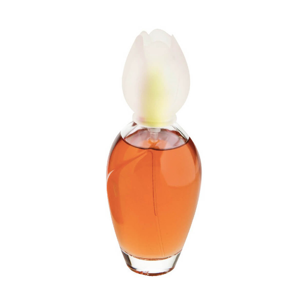 Chloé de narcisse parfum 2025