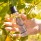 Vaporisateur 50 ml