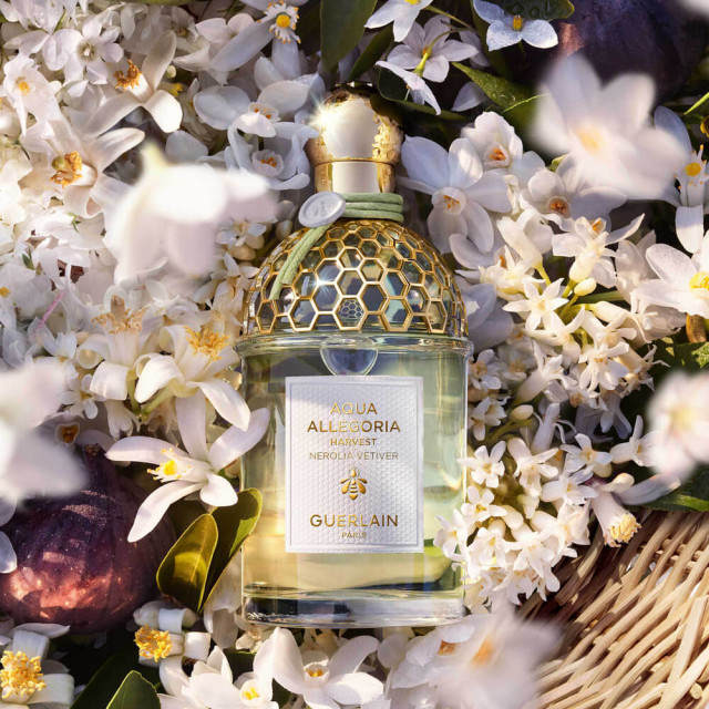 Aqua Allegoria Harvest Nerolia Vetiver | Eau de Toilette