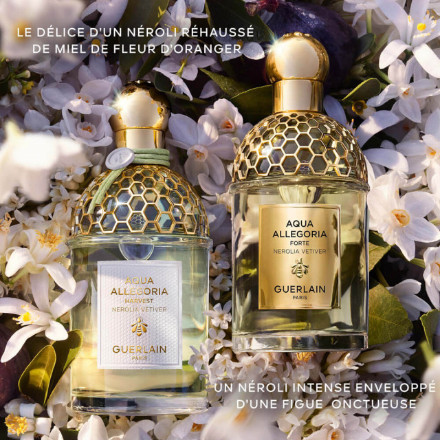 Aqua Allegoria Harvest Nerolia Vetiver | Eau de Toilette