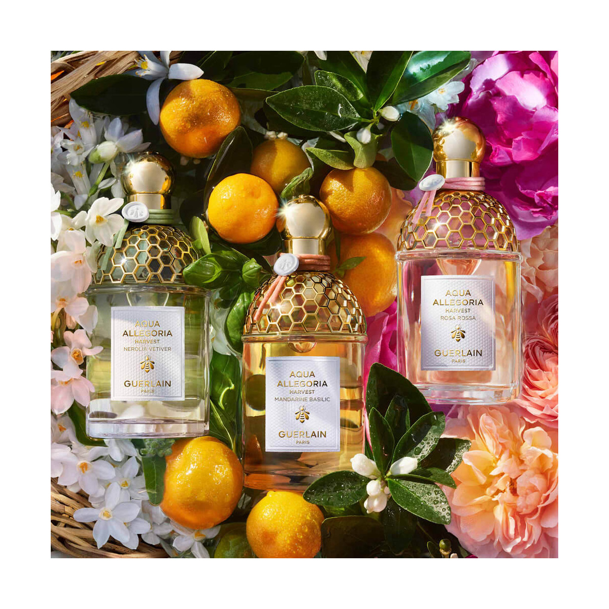 Aqua Allegoria Harvest Nerolia Vetiver GUERLAIN Parfumerie Burdin