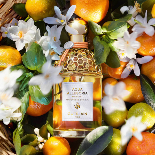 Aqua Allegoria Harvest Mandarine Basilic | Eau de Toilette