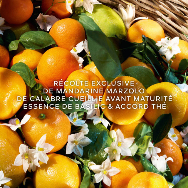 Aqua Allegoria Harvest Mandarine Basilic | Eau de Toilette