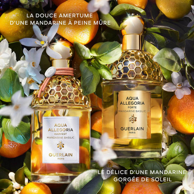 Aqua Allegoria Harvest Mandarine Basilic | Eau de Toilette