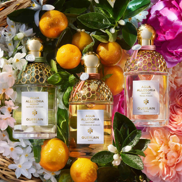 Aqua Allegoria Harvest Mandarine Basilic | Eau de Toilette