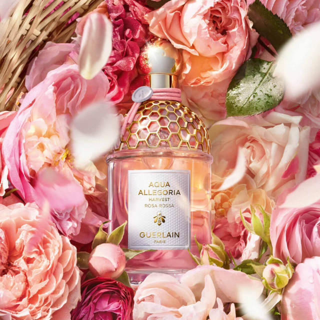 Aqua Allegoria Harvest Rosa Rossa | Eau de Toilette