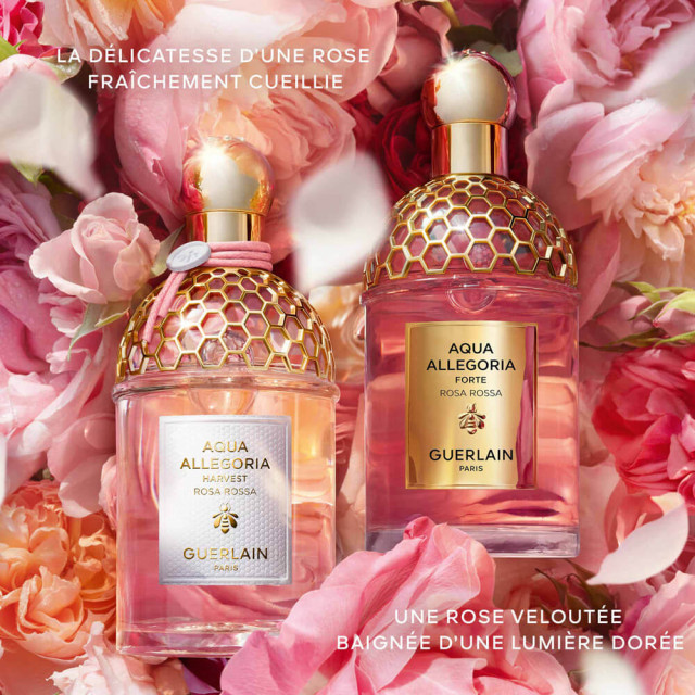 Aqua Allegoria Harvest Rosa Rossa | Eau de Toilette