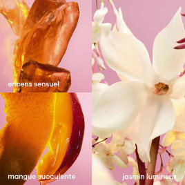Fame Blooming Pink | Eau de Parfum Collector