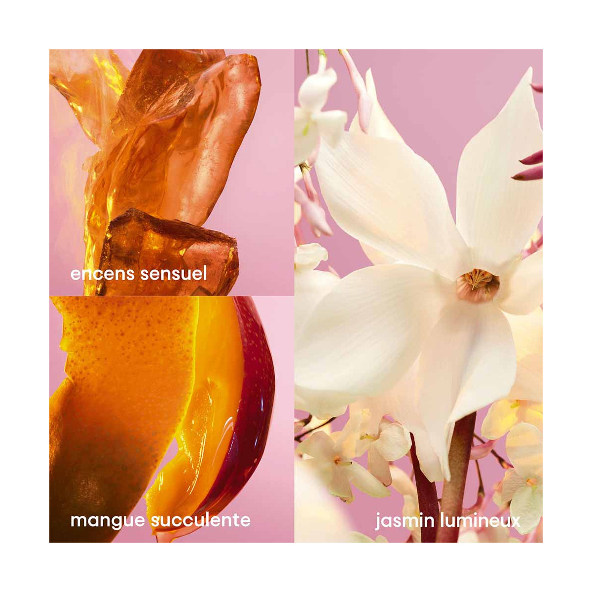 Fame Blooming Pink Eau de Parfum Collector PACO RABANNE | Parfumerie Burdin