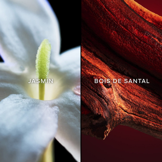 Samsara | Eau de Parfum