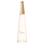 Vaporisateur 100 ml