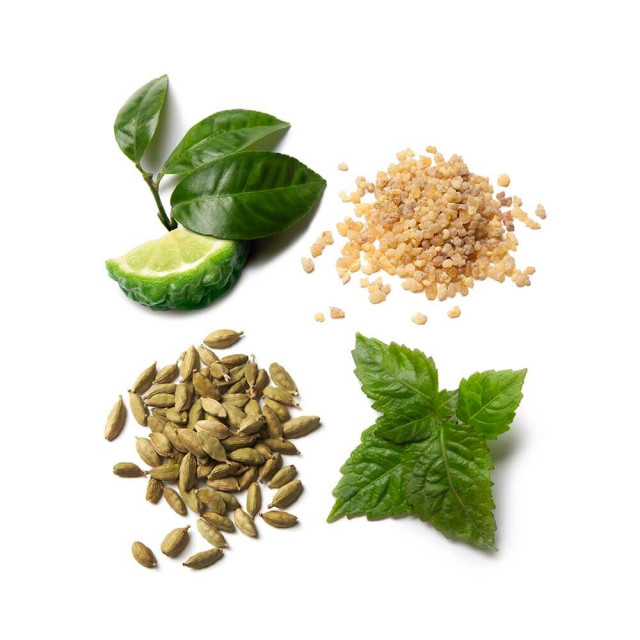 Brioni | Eau de Parfum Essentiel Brioni | Eau de Parfum Essentiel