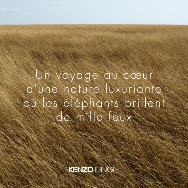 KENZO JUNGLE | Eau de Parfum