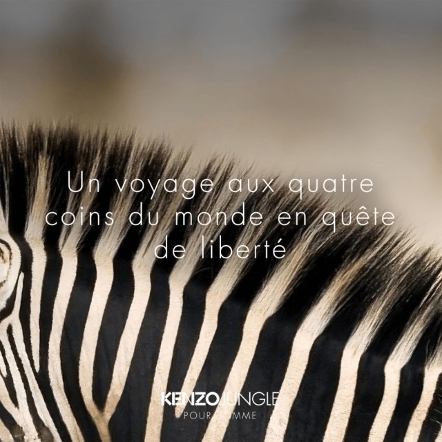 KENZO JUNGLE HOMME | Eau de Toilette