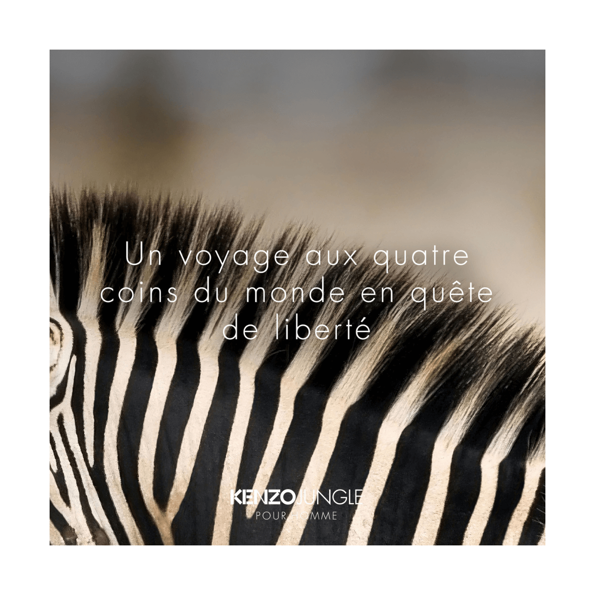 Avis kenzo online jungle pour homme