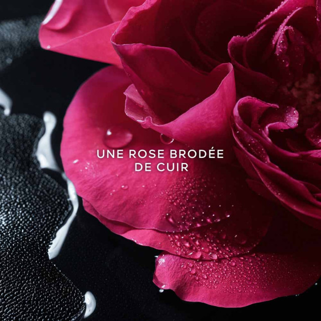 La Petite Robe Noire - Rose Noire | Eau de Parfum