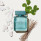 Vaporisateur 50 ml