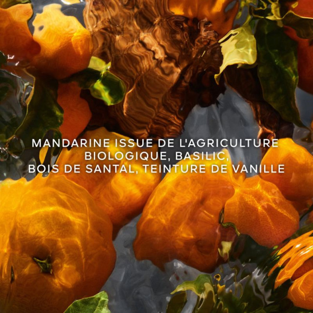 Aqua Allegoria Forte Mandarine Basilic | Eau de Parfum