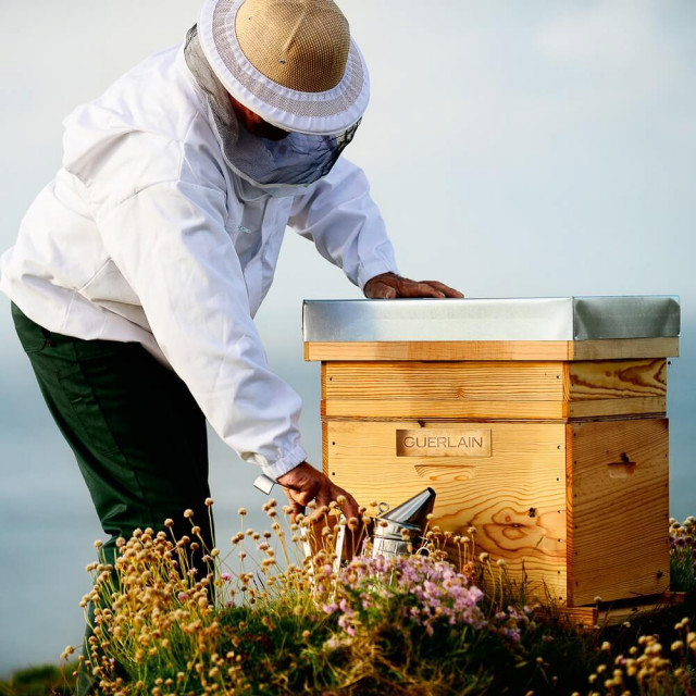 Abeille Royale Black Bee Honey Balm | Extra-Nutrition Peaux sèches et fragilisées