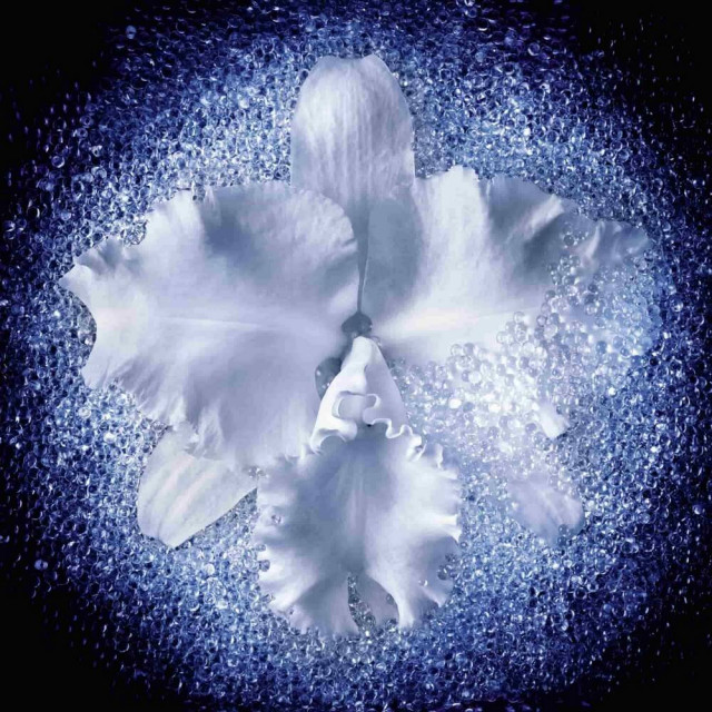 Orchidée Impériale Le Concentré Micro-Lift | Sérum régénérant tenseur et fermeté