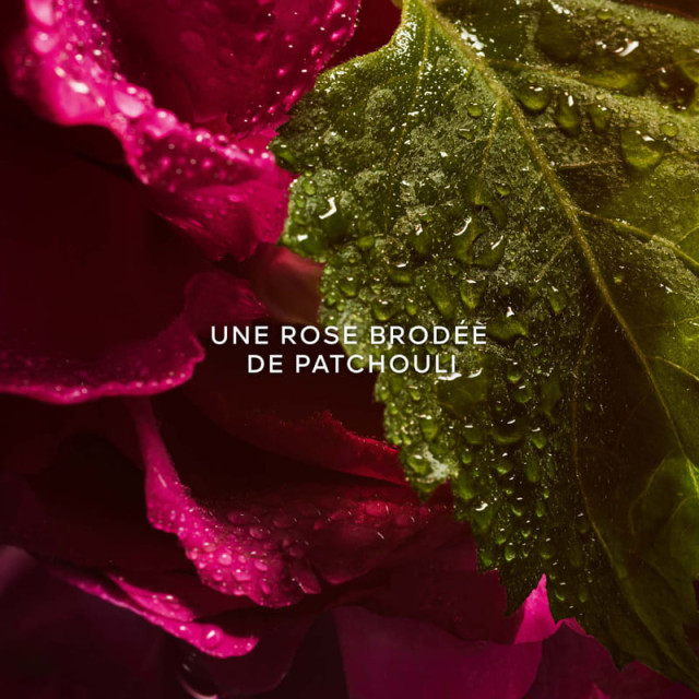 La Petite Robe Noire | Eau de Parfum Absolue