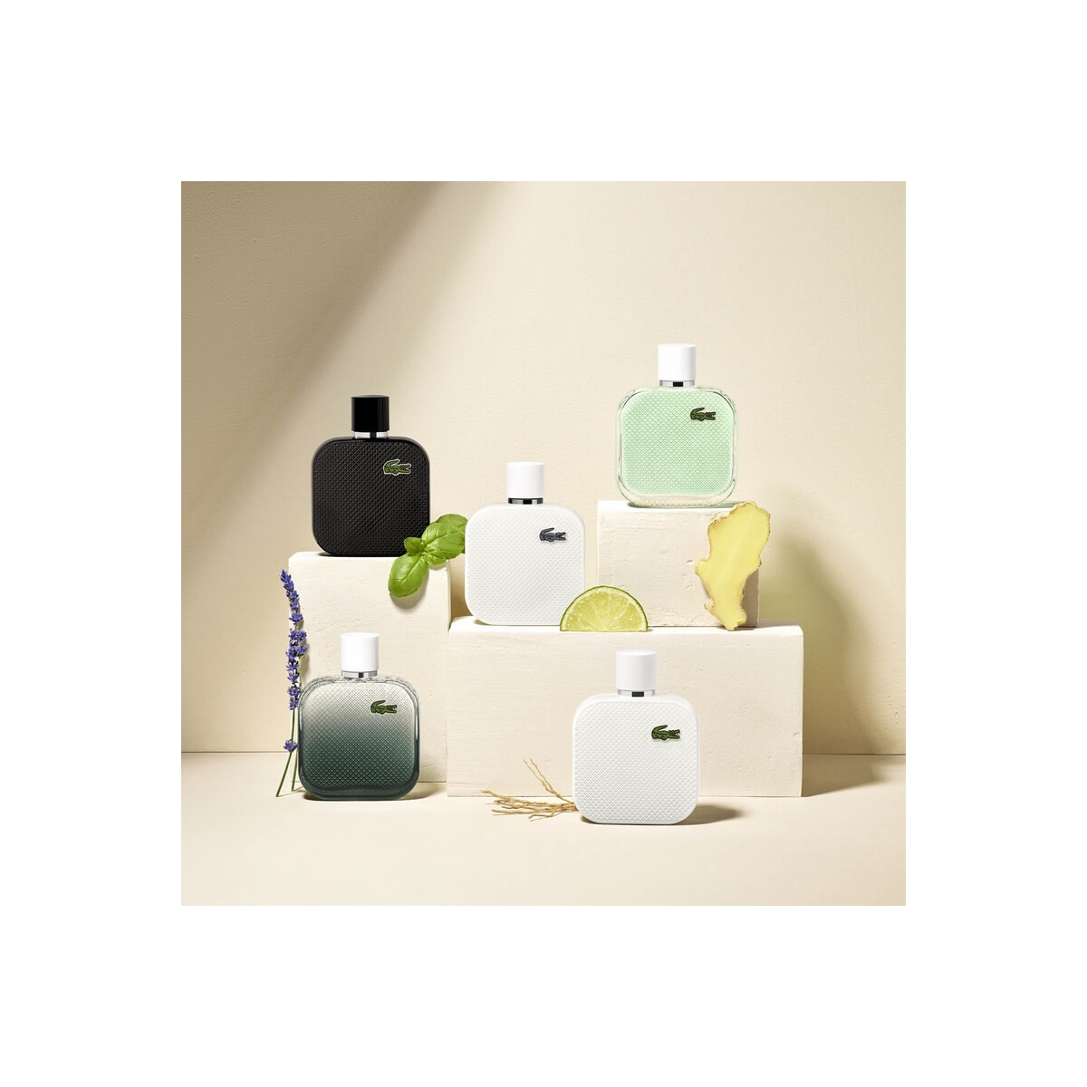 Lacoste pure perfume sales