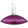 Vaporisateur 100 ml