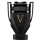 Vaporisateur 100 ml