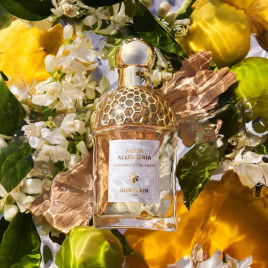 Aqua Allegoria Bergamote Calabria | Eau de Toilette