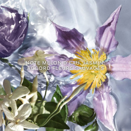 Aqua Allegoria Flora Salvaggia | Eau de Toilette