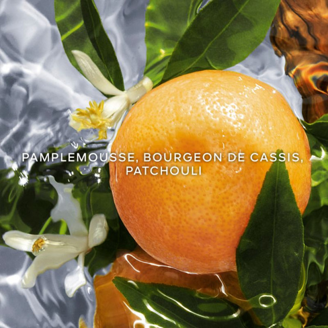 Aqua Allegoria Pamplelune | Eau de Toilette