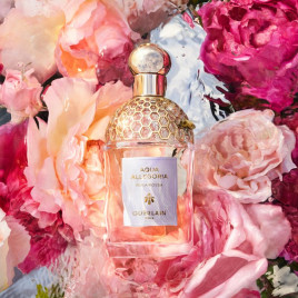 Aqua Allegoria Rosa Rossa | Eau de Toilette