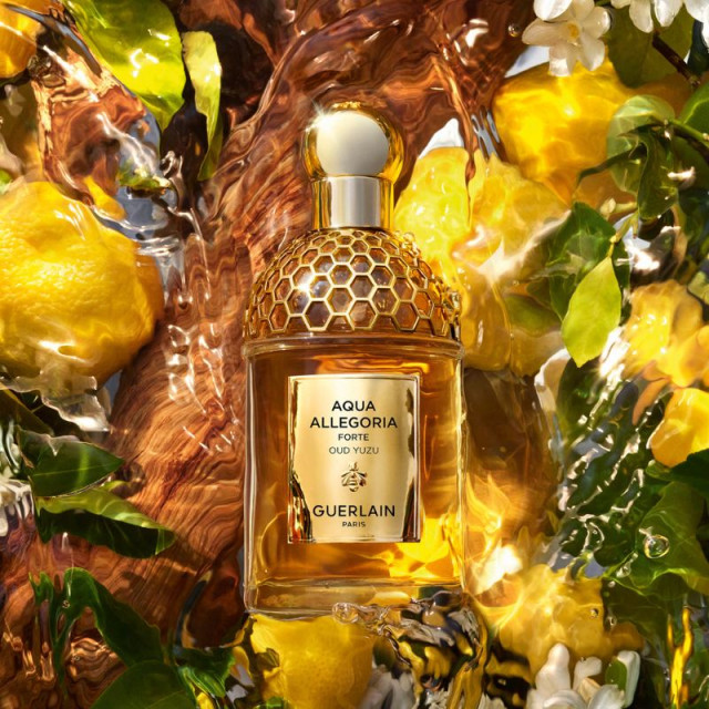 Aqua Allegoria Oud Yuzu Forte | Eau de Parfum