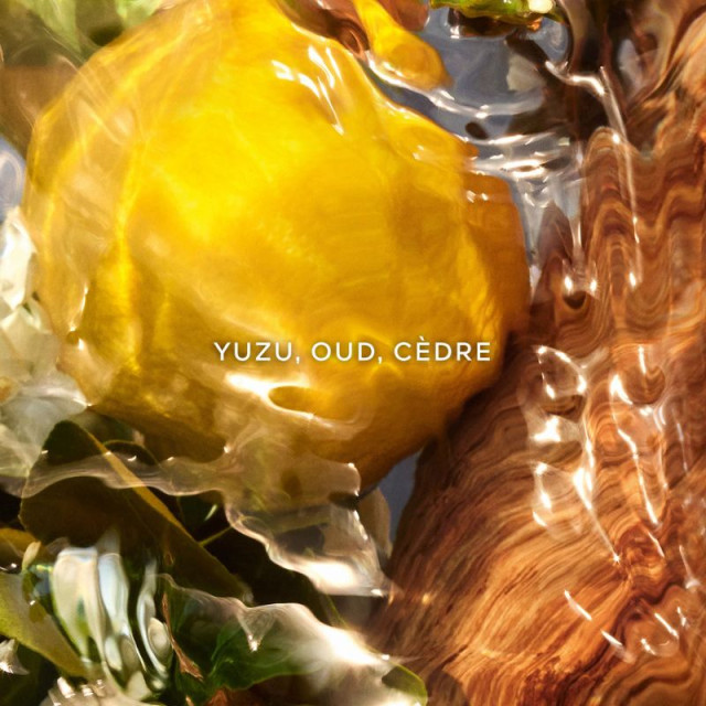 Aqua Allegoria Oud Yuzu Forte | Eau de Parfum