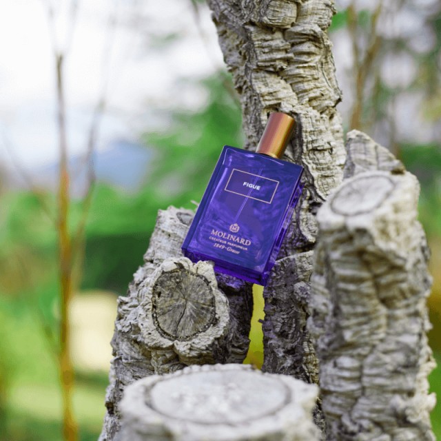 Figue | Eau de Parfum