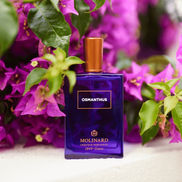 Osmanthus | Eau de Parfum Osmanthus | Eau de Parfum