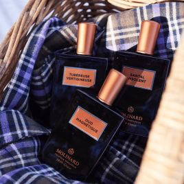 Santal Insolent | Eau de Parfum