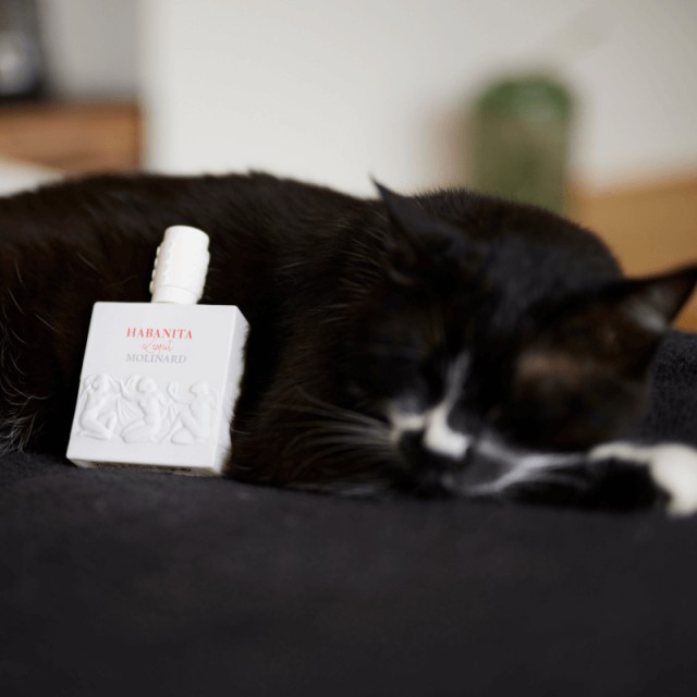 Habanita L'Esprit | Eau de Parfum