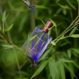 Bambou | Eau de Parfum