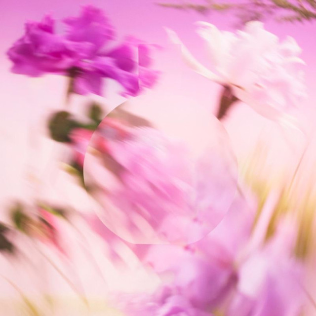 Chance Eau Splendide | Eau de Parfum