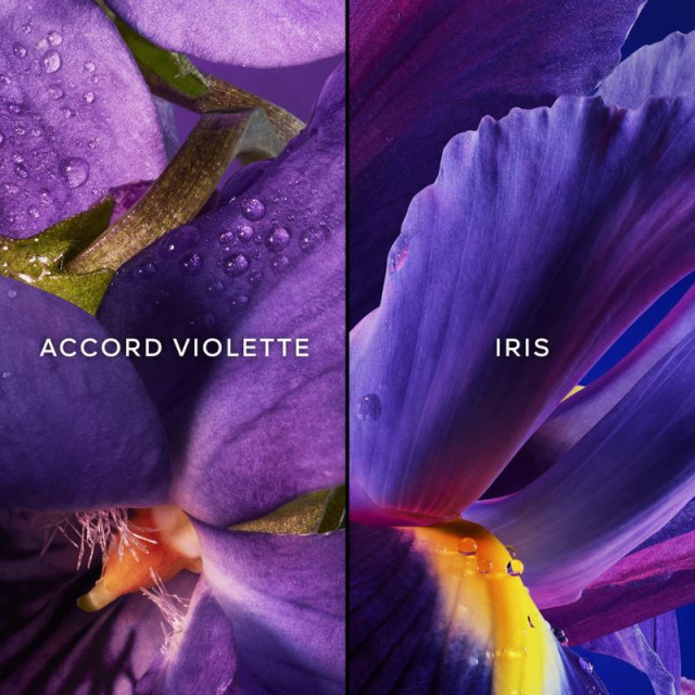 Insolence | Eau de Toilette