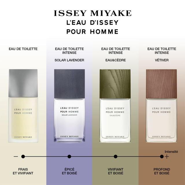 L'Eau d'Issey pour Homme | Eau de Toilette