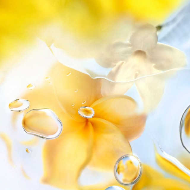 Ô de Lancôme Ô Zénith | Eau de Toilette Ô de Lancôme Ô Zénith | Eau de Toilette