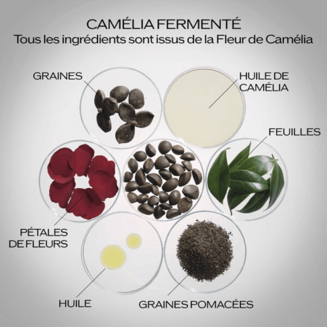 Ultimune | Sérum Activateur Energisant renforce & revitalise