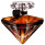 Vaporisateur 100 ml