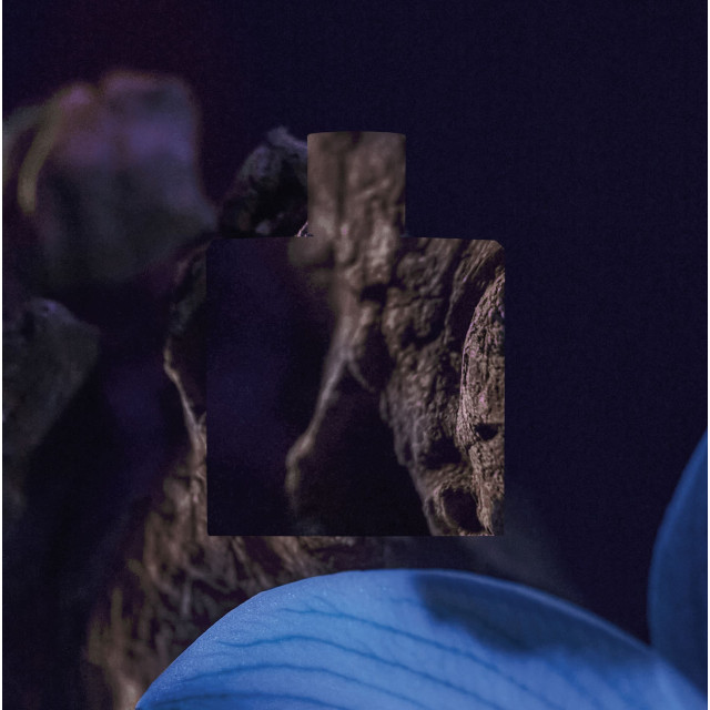 Bleu de Chanel | Parfum