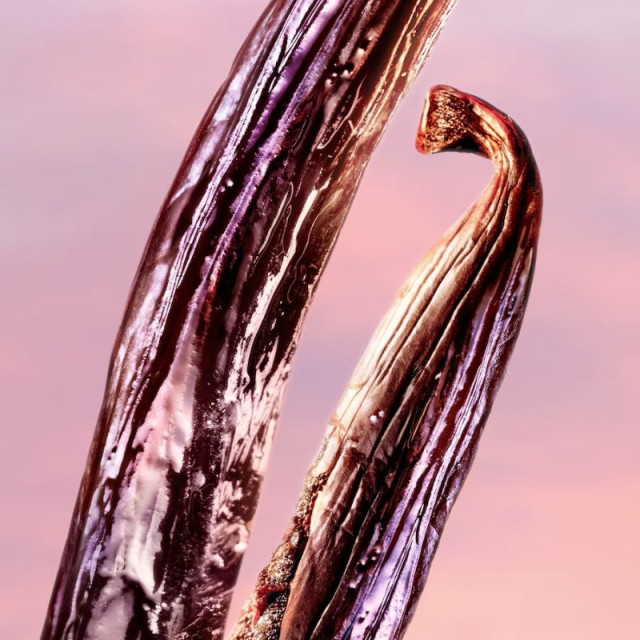 La Vie est Belle Vanille Nude | Eau de Parfum Sensuelle