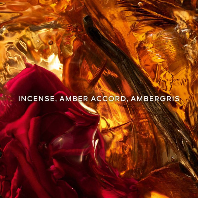 Absolus Allegoria Ambre Samar | Eau de Parfum