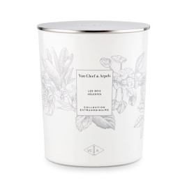 Collection Extraordinaire | Bougie parfumée Les Bois Célestes