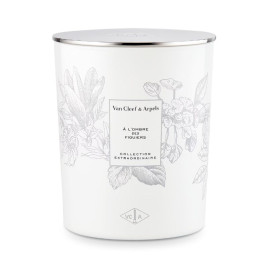 Collection Extraordinaire | Bougie parfumée À l'Ombre des Figuiers